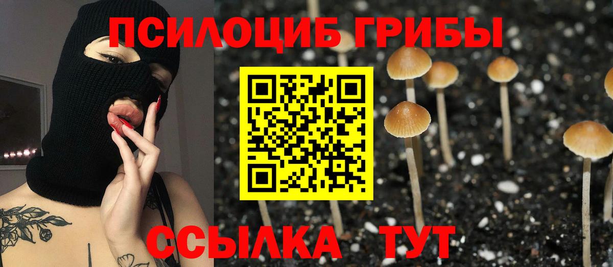 Орск  Псилоцибиновые грибы Psilocybine cubensis  Вход с VPN 