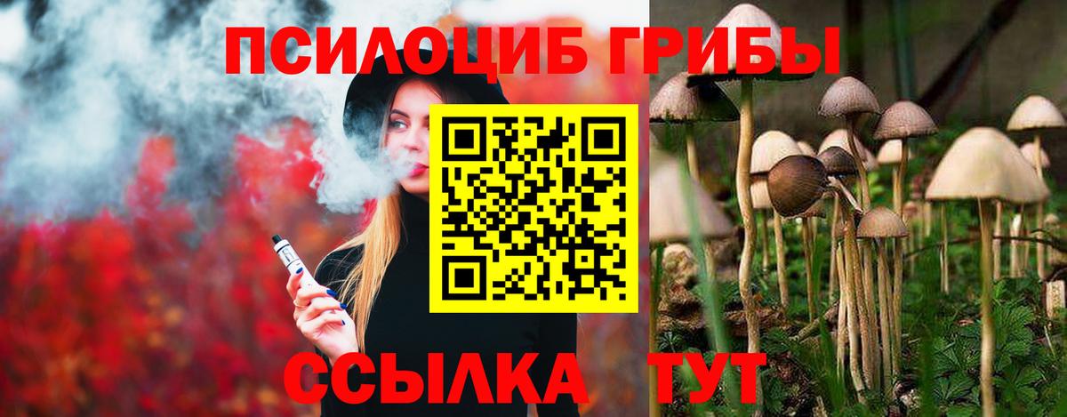 Галлюциногенные грибы Magic Shrooms Орск